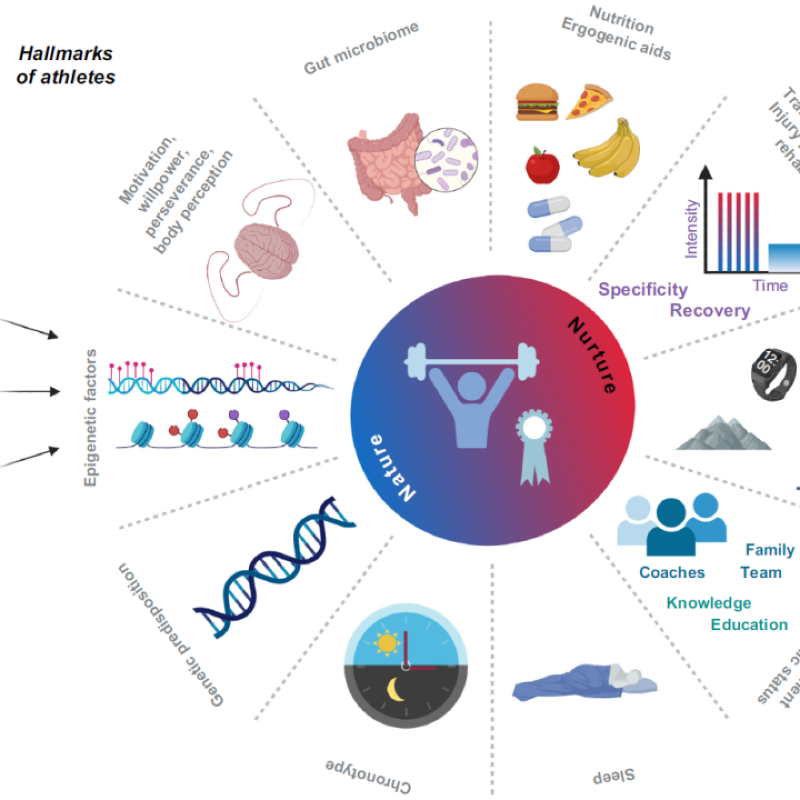 پاورپوئینت-فیزیولوژی سلولی در ورزش
