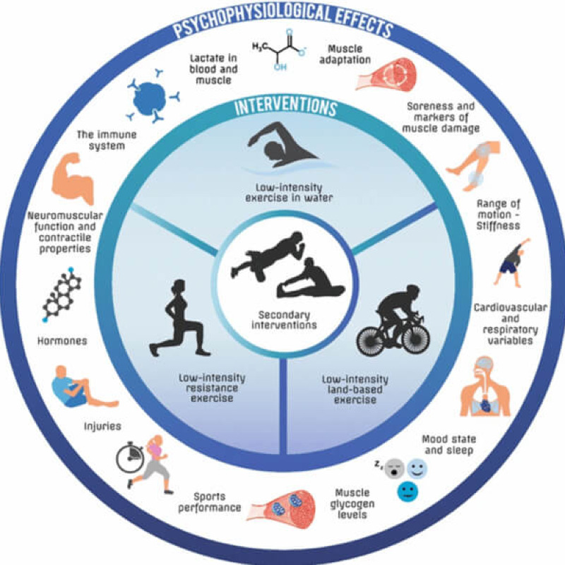 برگشت به حالت اولیه