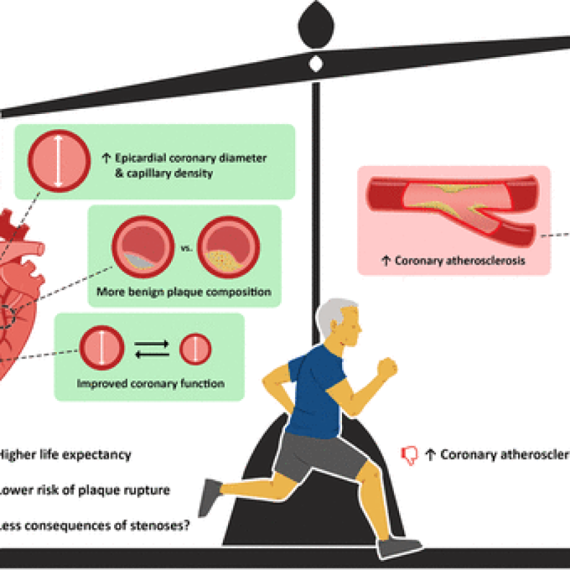 مروری بر بیماریها و فعالیت بدنی